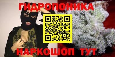 крисы Малоярославец
